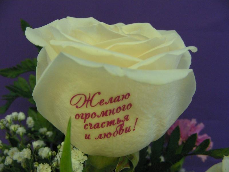 Какие цветы дарят на свадьбу гости?