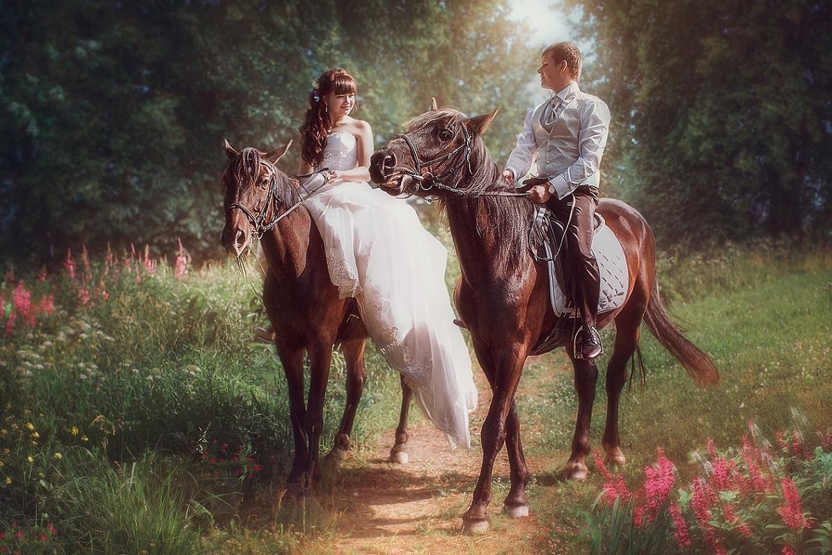 Заказ лошадей на свадьбу Нижний—Новгород