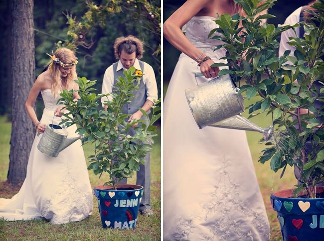 Высадка деревьев в день свадьбы