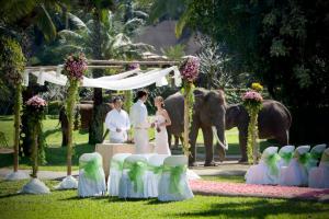 Свадьба на бали